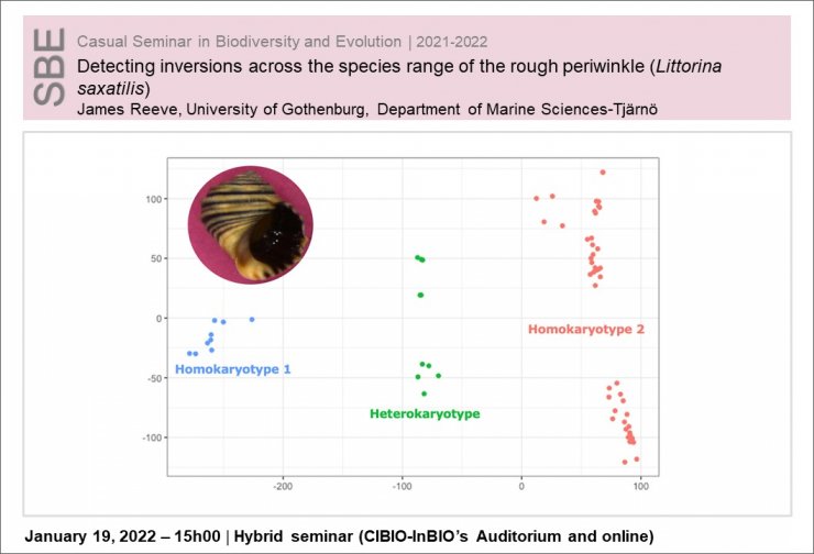 Detecting inversions across the species range of the rough periwinkle (Littorina saxatilis)