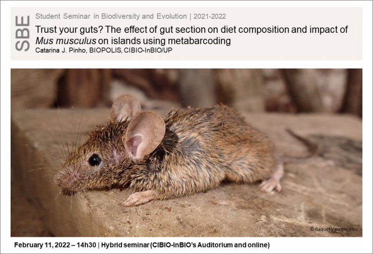 Trust your guts? The effect of gut section on diet composition and impact of Mus musculus on islands using metabarcoding